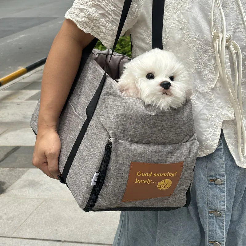 Portable Safety Travel Carrier