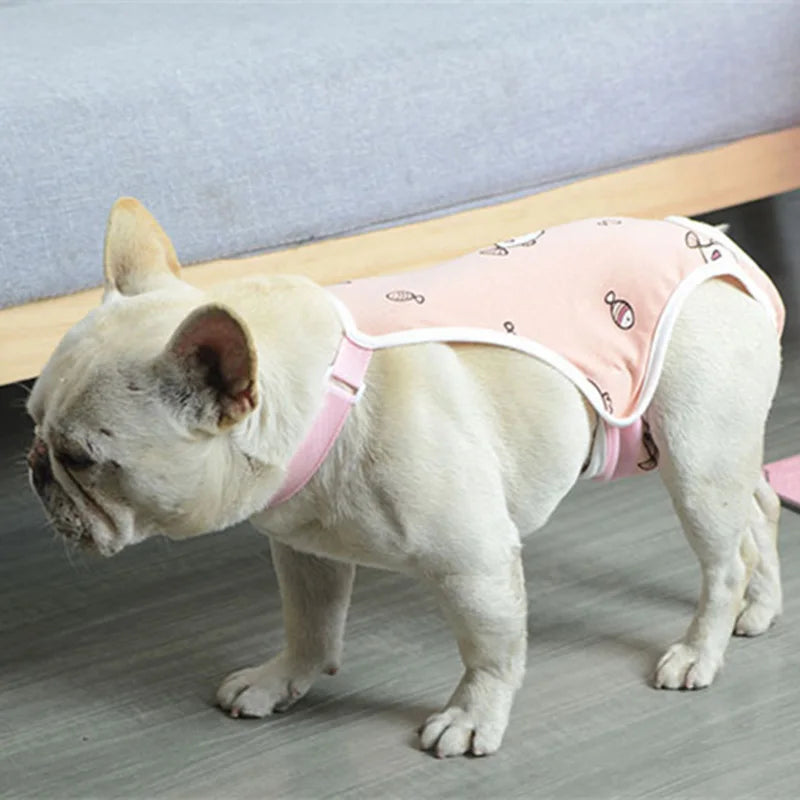 Reusable Female Pet Panties for Small Dogs Physiological Pant with Straps Poodle Schnauzer Underwear Safety Trousers Cat Shorts