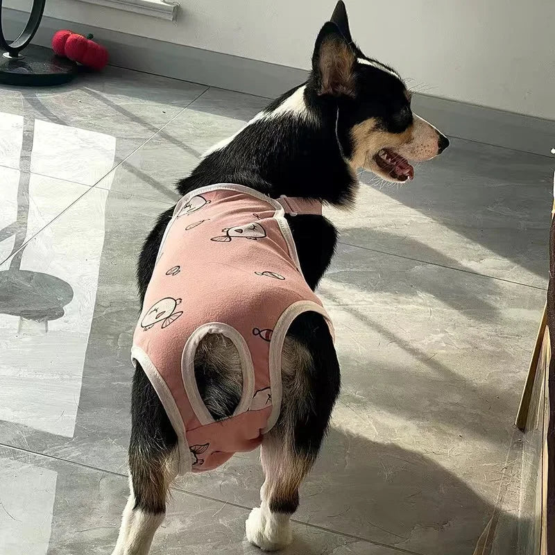 Reusable Female Pet Panties for Small Dogs Physiological Pant with Straps Poodle Schnauzer Underwear Safety Trousers Cat Shorts