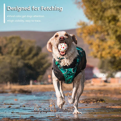 Bite Resistant Solid Dog Ball Toy