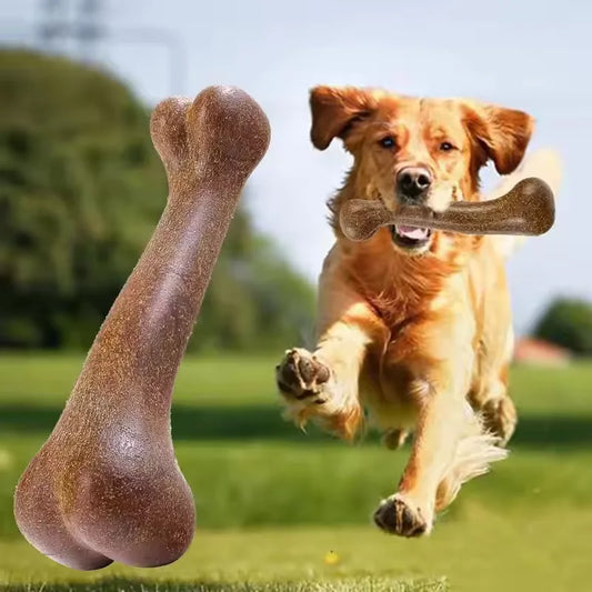 Natural Non-Toxic Bone Chews Toy