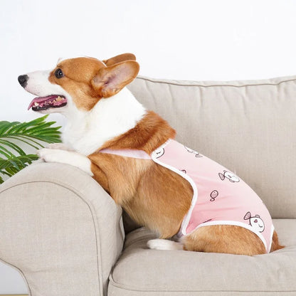 Reusable Female Pet Panties for Small Dogs Physiological Pant with Straps Poodle Schnauzer Underwear Safety Trousers Cat Shorts