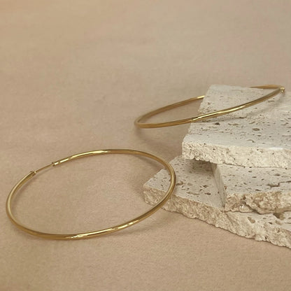 Stainless Steel 12-70mm Minimalist Big Circle Hoop Earrings for Women Trendy Gold Color Metal Smooth Round Earring Jewelry