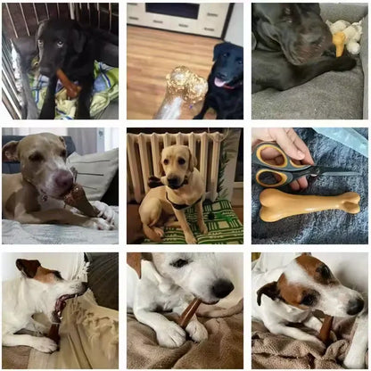 Natural Non-Toxic Bone Chews Toy