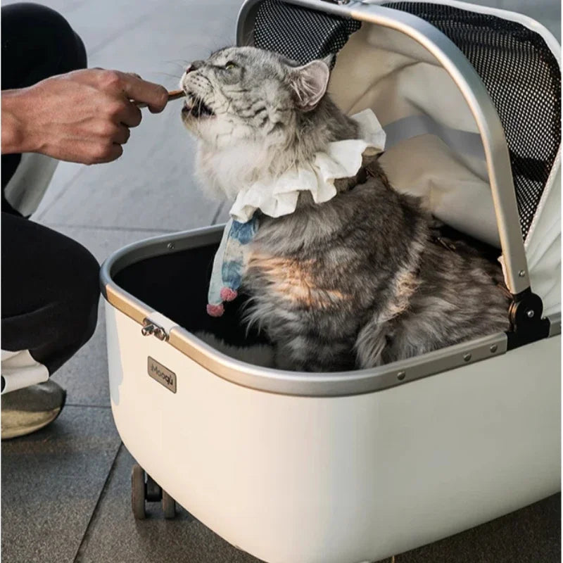 Lightweight Pet Travel Carrier Large Capacity Cat Backpack Shock-Absorbent Rolling Dog Trolley Adjustable Handle Pet Stroller