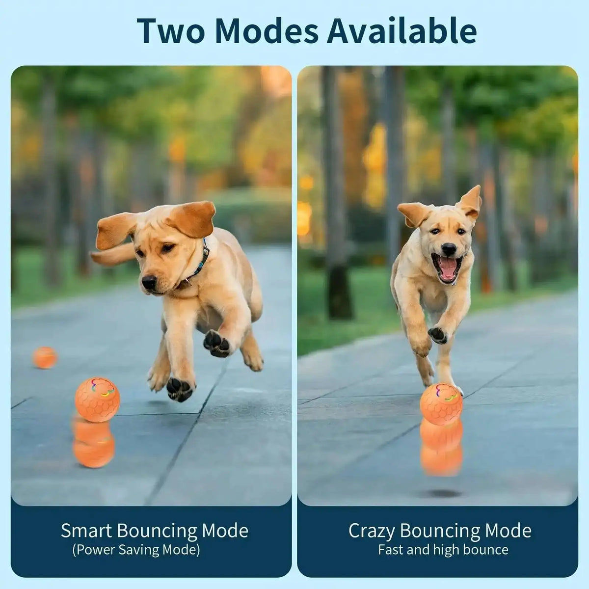Smart Dog Interactive Toy Ball Electronic Pet Toy Ball USB Automatic Bouncing Rolling Toy Ball With RGB Lights Puppy Cat Product