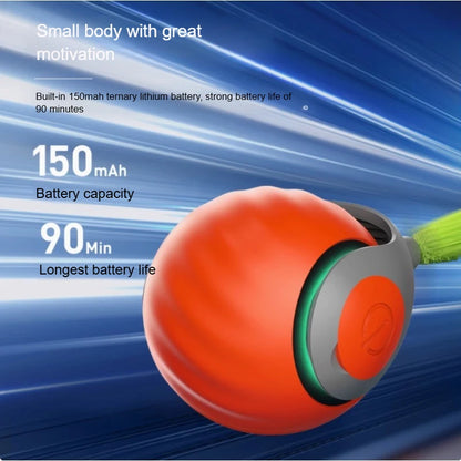 Automatic Rolling Ball with Faux Tail Toy