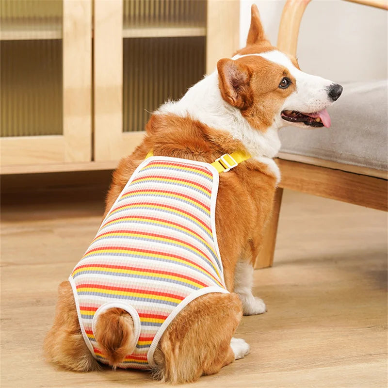 Reusable Female Pet Panties for Small Dogs Physiological Pant with Straps Poodle Schnauzer Underwear Safety Trousers Cat Shorts