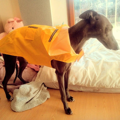 Large Pet Dog Face Raincoat Waterproof Polyester Safety Reflective Stripe Rain Jacket for Golden Retriever Labrador Husky S-6XL