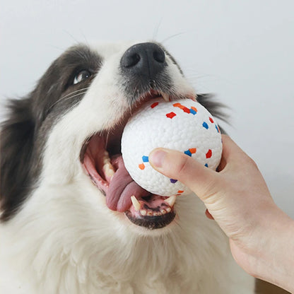 Bite Resistant Solid Dog Ball Toy