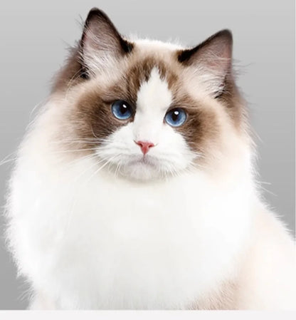 Smart Pet Dryer Cat Automatic Dryer Box Grooming Products Supplies Automatic Temperature Control Beauty Equipment Accessories