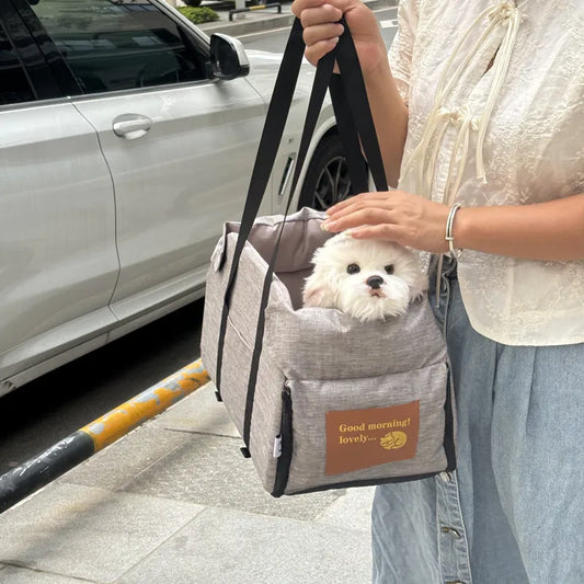Portable Safety Travel Carrier
