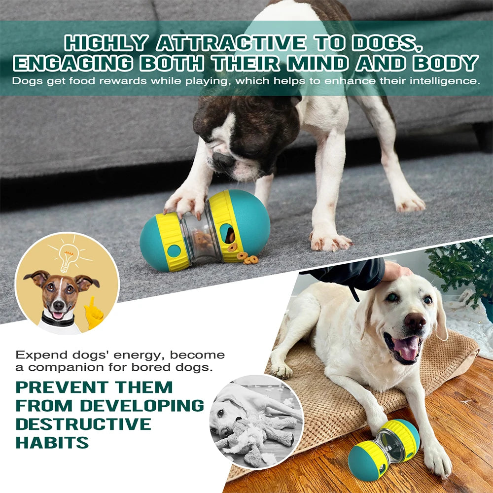 Slow Feeder Interactive Ball Toy