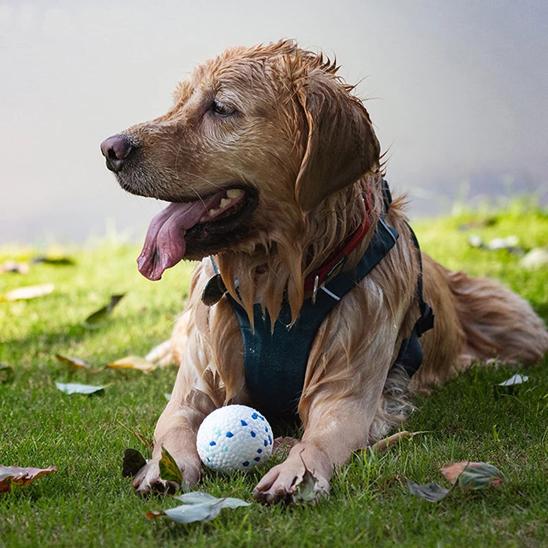 Bite Resistant Solid Dog Ball Toy