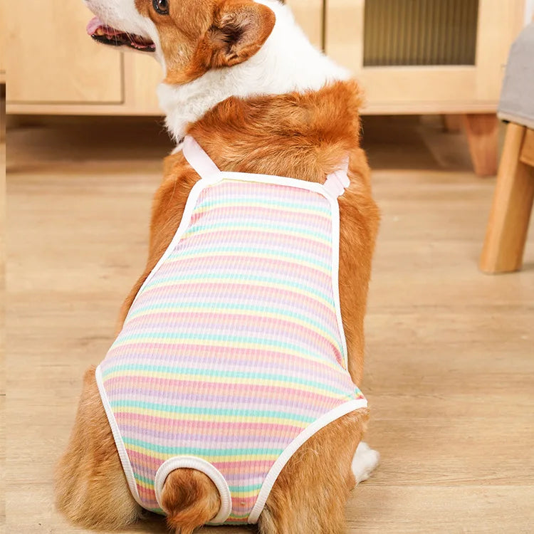 Reusable Female Pet Panties for Small Dogs Physiological Pant with Straps Poodle Schnauzer Underwear Safety Trousers Cat Shorts
