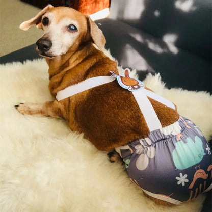 Cartoon Print Female Dog Shorts Puppy Physiological Pants Diaper Pet Underwear Briefs For Small Medium Girl Dogs Schnauzer