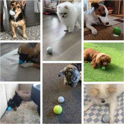 Smart Dog Interactive Toy Ball Electronic Pet Toy Ball USB Automatic Bouncing Rolling Toy Ball With RGB Lights Puppy Cat Product