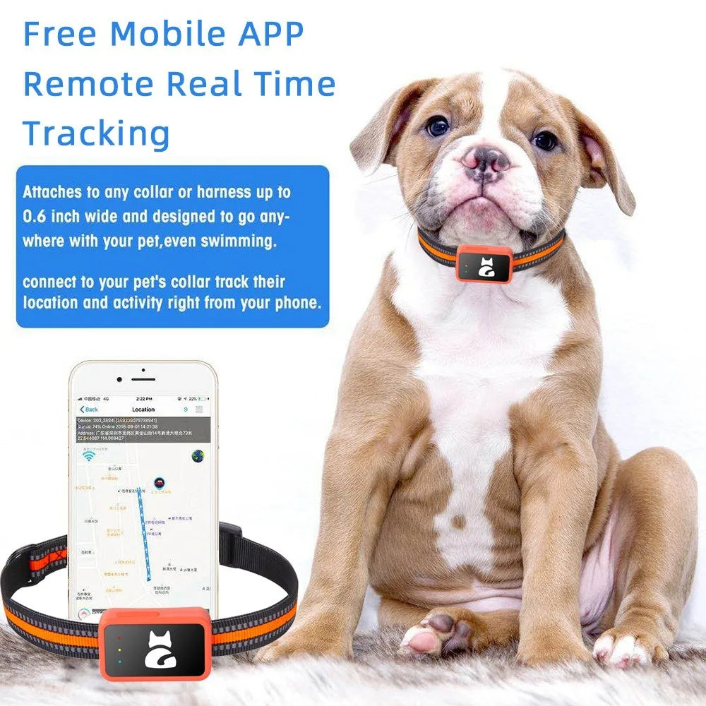 4G GPS Tracker for Dogs and Cats Waterproof Pet Locator with Health Monitor and Step Counter free card