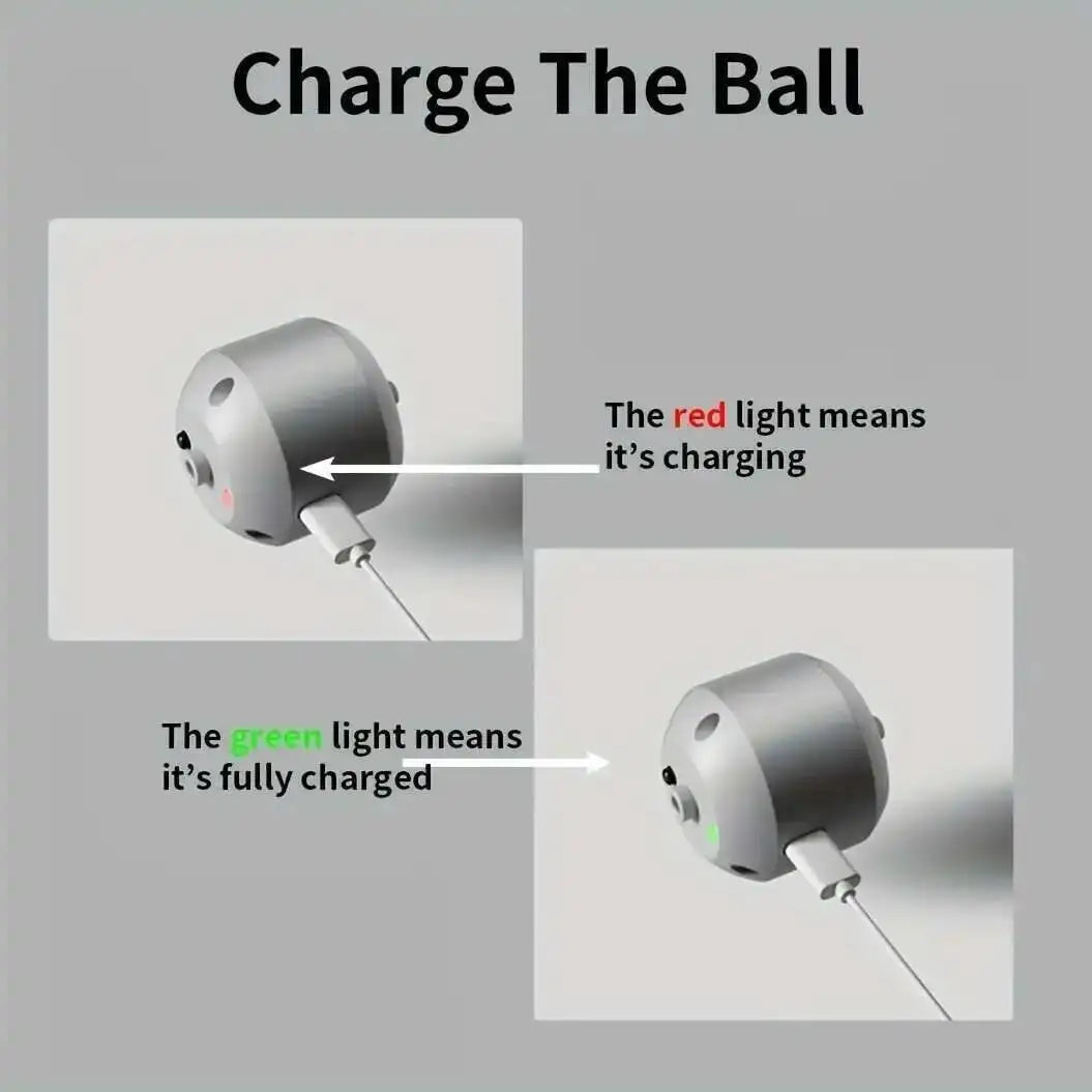 Smart Dog Interactive Toy Ball Electronic Pet Toy Ball USB Automatic Bouncing Rolling Toy Ball With RGB Lights Puppy Cat Product