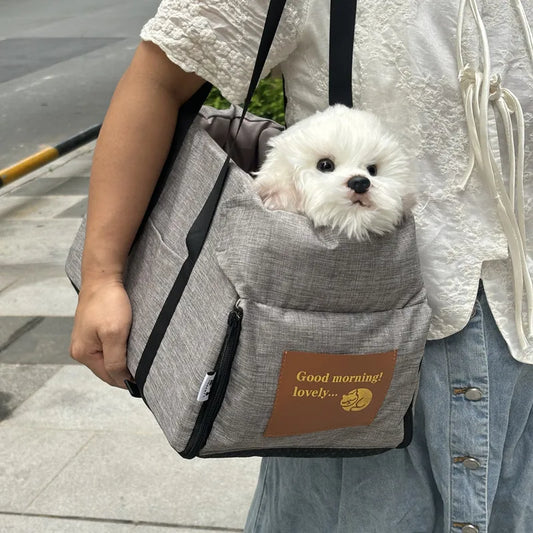 Portable Safety Travel Carrier