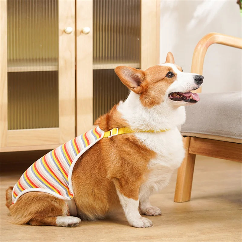 Reusable Female Pet Panties for Small Dogs Physiological Pant with Straps Poodle Schnauzer Underwear Safety Trousers Cat Shorts