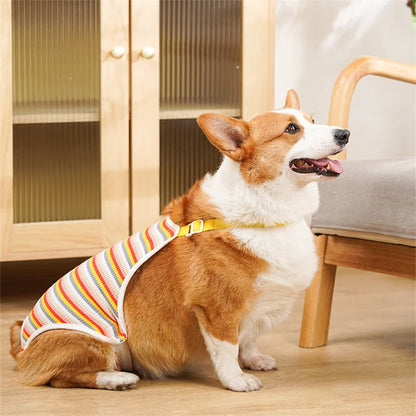 Reusable Female Pet Panties for Small Dogs Physiological Pant with Straps Poodle Schnauzer Underwear Safety Trousers Cat Shorts