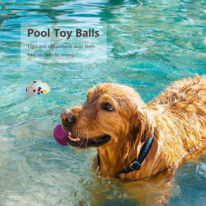 Bite Resistant Solid Dog Ball Toy