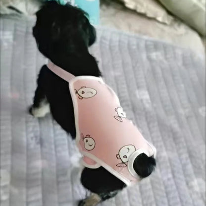 Reusable Female Pet Panties for Small Dogs Physiological Pant with Straps Poodle Schnauzer Underwear Safety Trousers Cat Shorts
