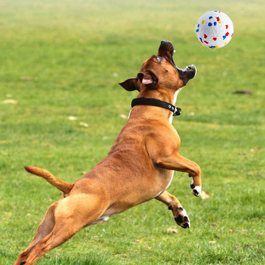 Bite Resistant Solid Dog Ball Toy