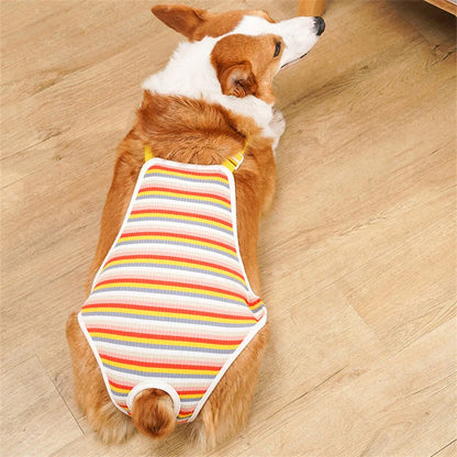 Reusable Female Pet Panties for Small Dogs Physiological Pant with Straps Poodle Schnauzer Underwear Safety Trousers Cat Shorts
