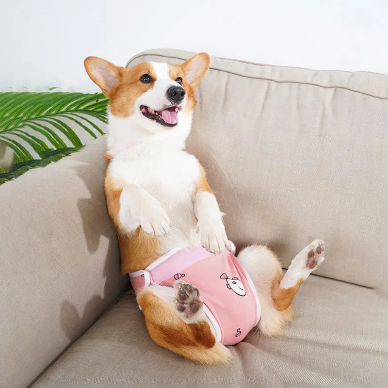 Reusable Female Pet Panties for Small Dogs Physiological Pant with Straps Poodle Schnauzer Underwear Safety Trousers Cat Shorts