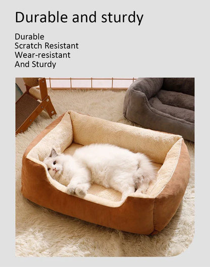Bed for Cats Pet Products Cushions Kitten Goods Accessories Dog All Home Supplies Things Accessory Habitats Basket House Beds