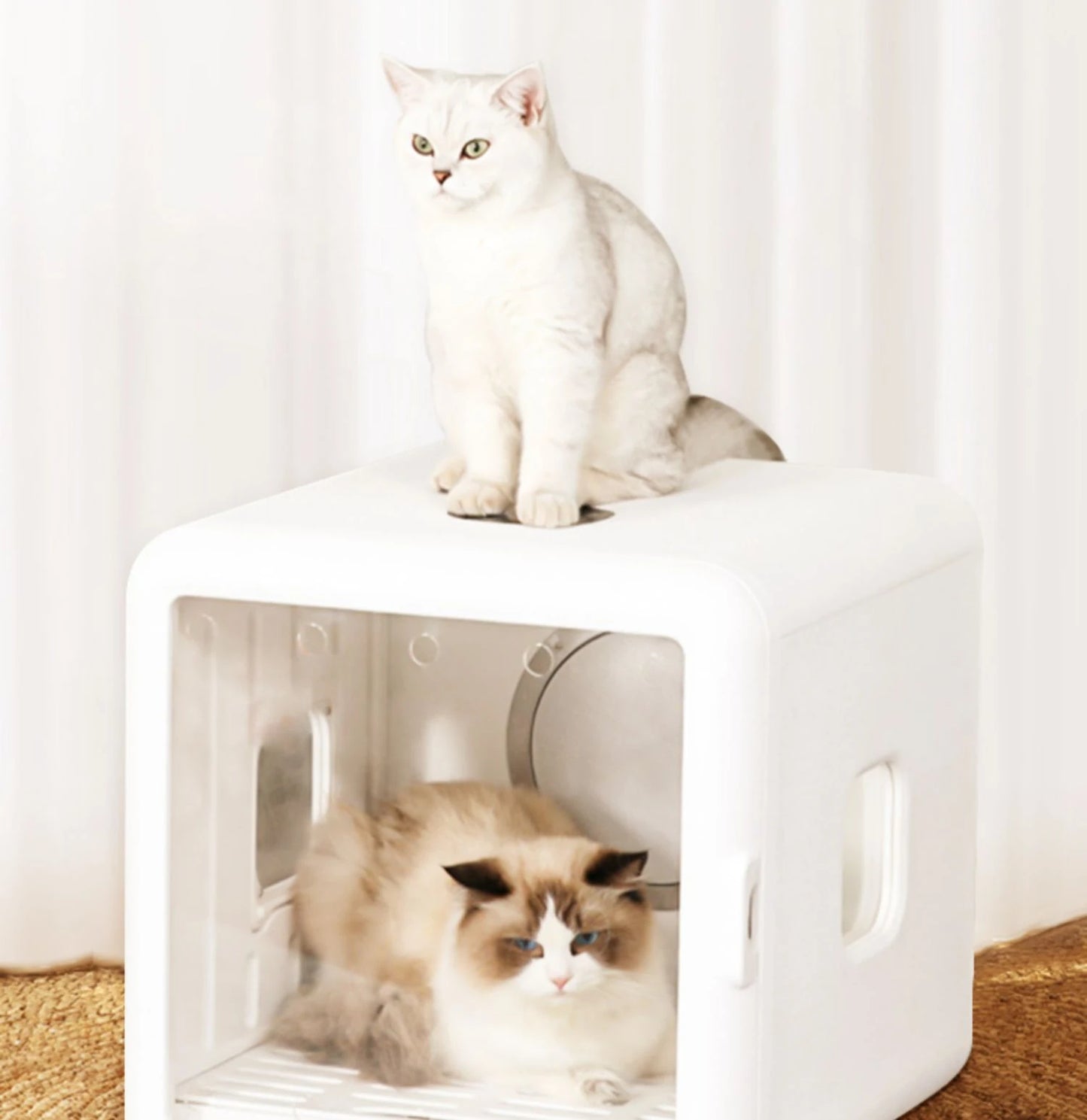 Pet Dryer Dog Hair Dryer Box for Pet Grooming Super Quiet Cat Hair Dryer Capacity Quick Drying Blower 360 Degrees Warm Air
