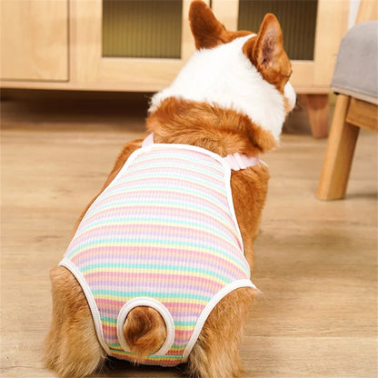 Reusable Female Pet Panties for Small Dogs Physiological Pant with Straps Poodle Schnauzer Underwear Safety Trousers Cat Shorts