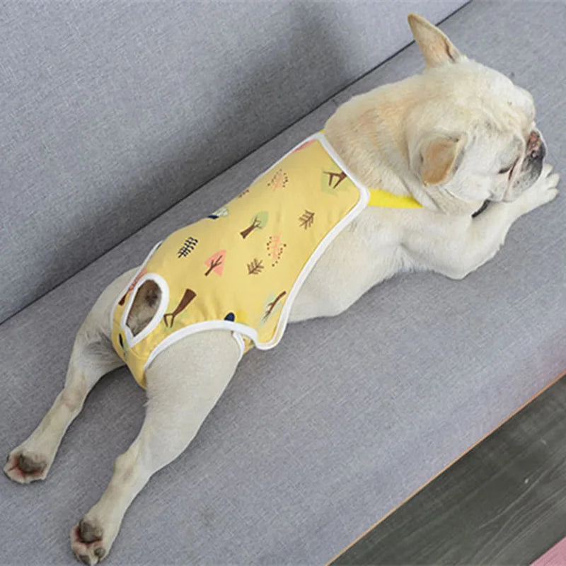 Reusable Female Pet Panties for Small Dogs Physiological Pant with Straps Poodle Schnauzer Underwear Safety Trousers Cat Shorts