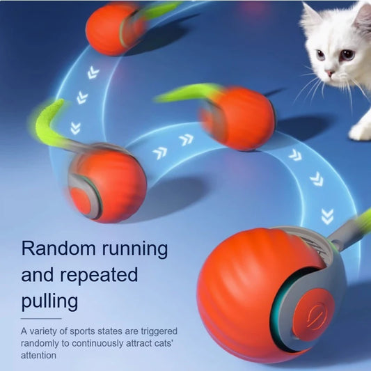 Automatic Rolling Ball with Faux Tail Toy