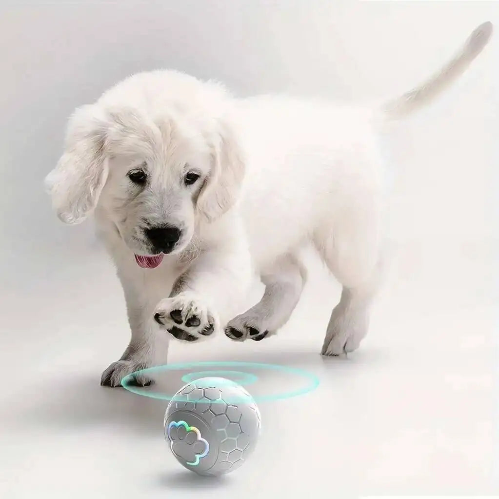 Smart Dog Interactive Toy Ball Electronic Pet Toy Ball USB Automatic Bouncing Rolling Toy Ball With RGB Lights Puppy Cat Product