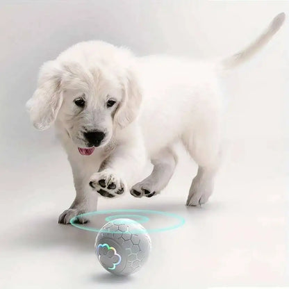 Smart Dog Interactive Toy Ball Electronic Pet Toy Ball USB Automatic Bouncing Rolling Toy Ball With RGB Lights Puppy Cat Product