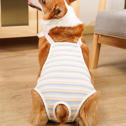 Reusable Female Pet Panties for Small Dogs Physiological Pant with Straps Poodle Schnauzer Underwear Safety Trousers Cat Shorts