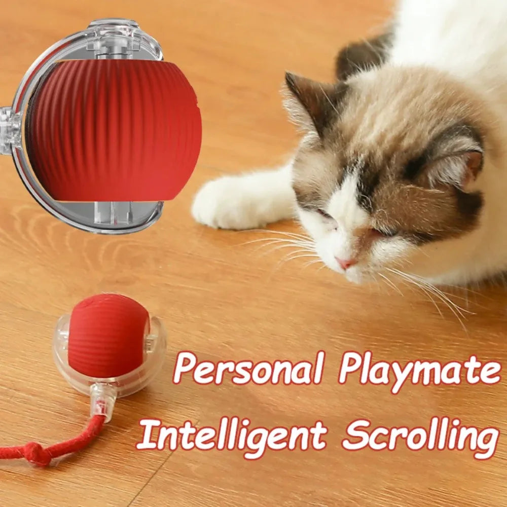 New Cat Interactive Ball Toy Automatic Rolling Ball Faux Tail Rechargeable Smart Pet Electric Toy Dog Cat Training Imitate Mouse