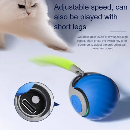 Automatic Rolling Ball with Faux Tail Toy