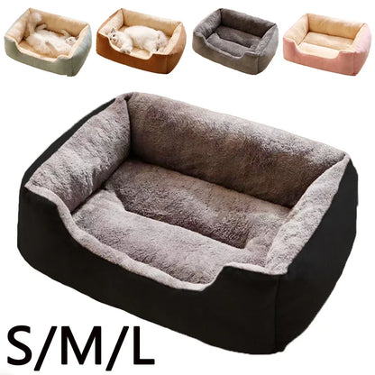 Bed for Cats Pet Products Cushions Kitten Goods Accessories Dog All Home Supplies Things Accessory Habitats Basket House Beds