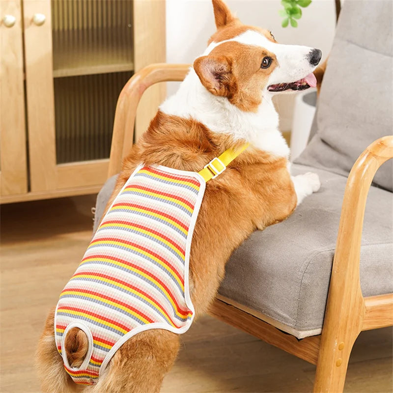 Reusable Female Pet Panties for Small Dogs Physiological Pant with Straps Poodle Schnauzer Underwear Safety Trousers Cat Shorts