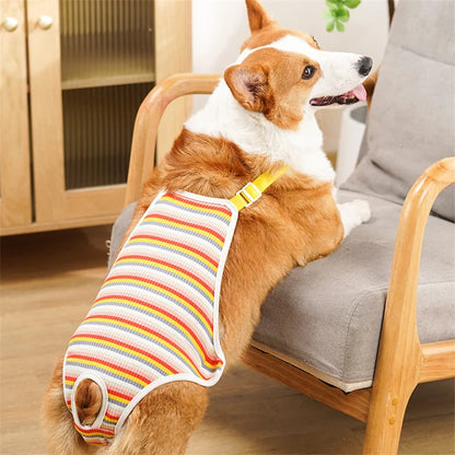 Reusable Female Pet Panties for Small Dogs Physiological Pant with Straps Poodle Schnauzer Underwear Safety Trousers Cat Shorts