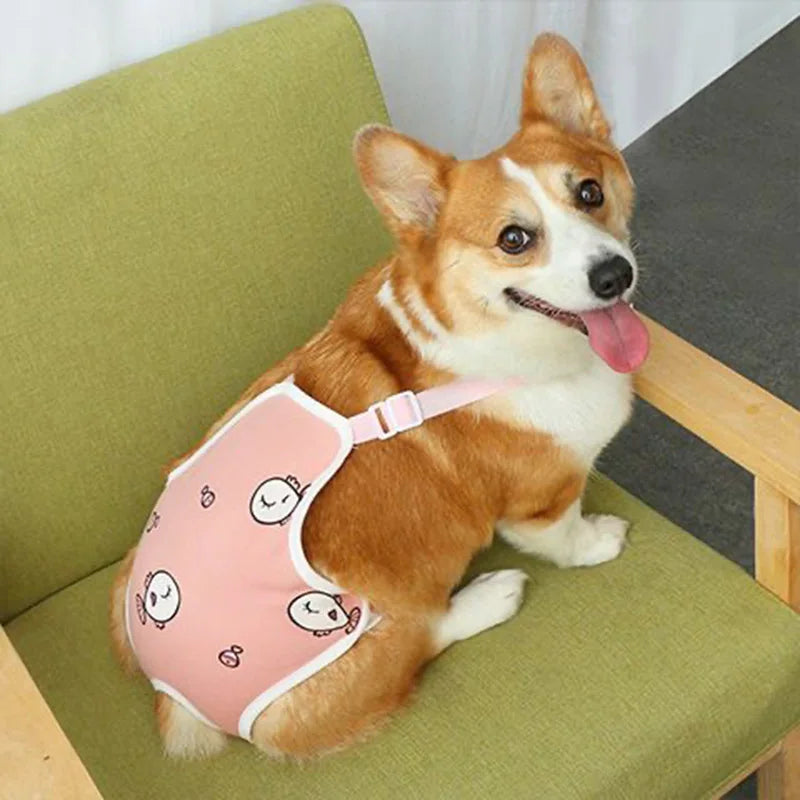 Reusable Female Pet Panties for Small Dogs Physiological Pant with Straps Poodle Schnauzer Underwear Safety Trousers Cat Shorts